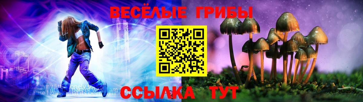 Галлюциногенные грибы мицелий Кубинка